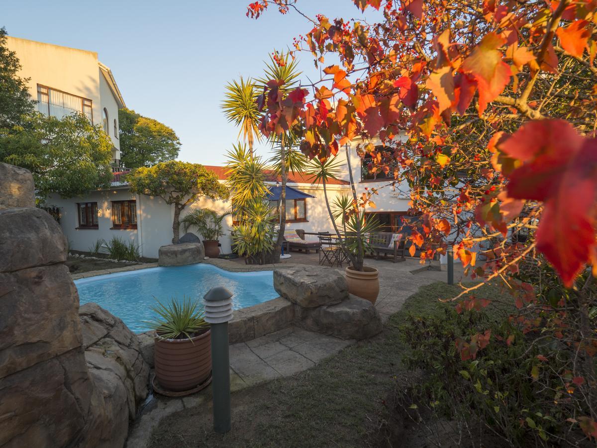 Blue Oyster Bed And Breakfast Κνύσνα Εξωτερικό φωτογραφία